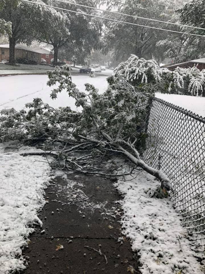 Snow, 10/14
